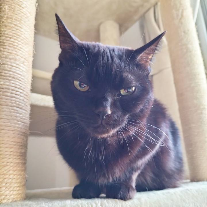 10363107 cd4d 43d0 9429 92b76ab60e05 1703025712360