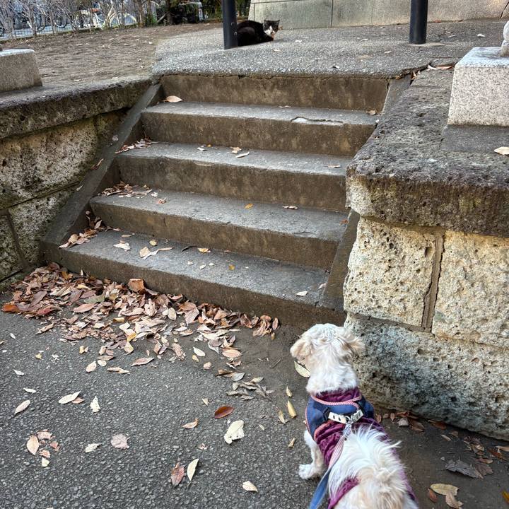 103668de 3470 451d a570 be748ec2834e 1764280198792