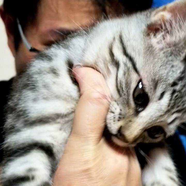 10367b6d 9b75 4934 ade5 5ea89d17dfcc 1664796281918