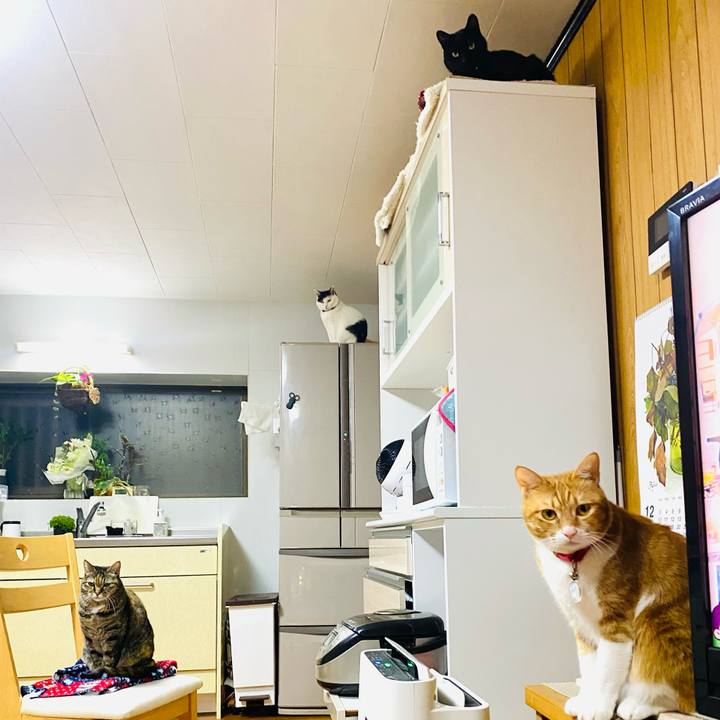 10368b46 09d5 48f4 8370 430d45a8bb4c 1702040262481