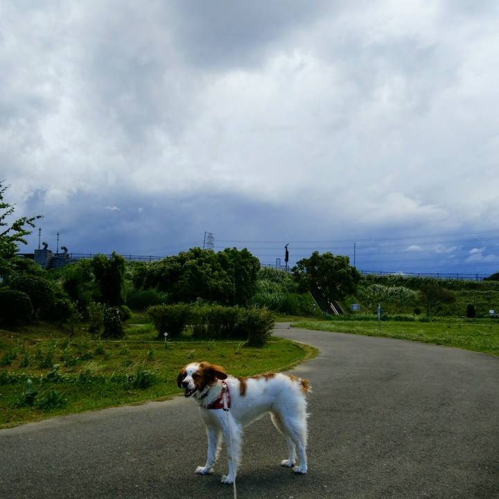 1036af87 e62f 4763 9cf9 41cd08495a8f 1560584707399