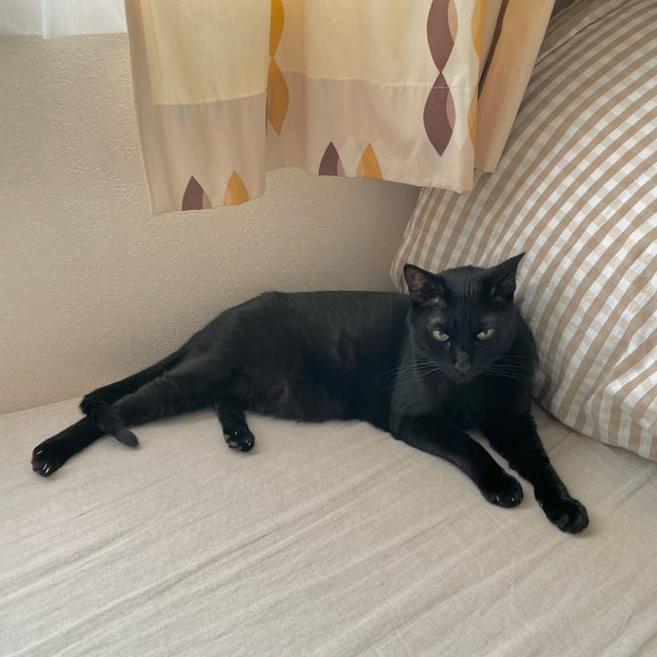 1036f075 f263 4d4f a244 7e4d598fc70a 1686144336945