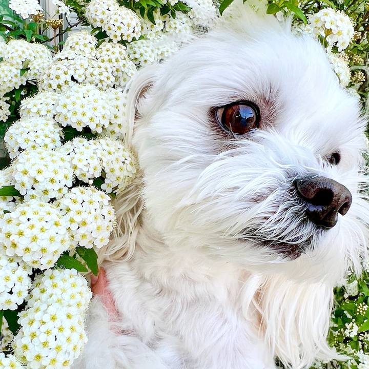 1036f994 f794 4d11 8df8 640157fe354e 1681204356882