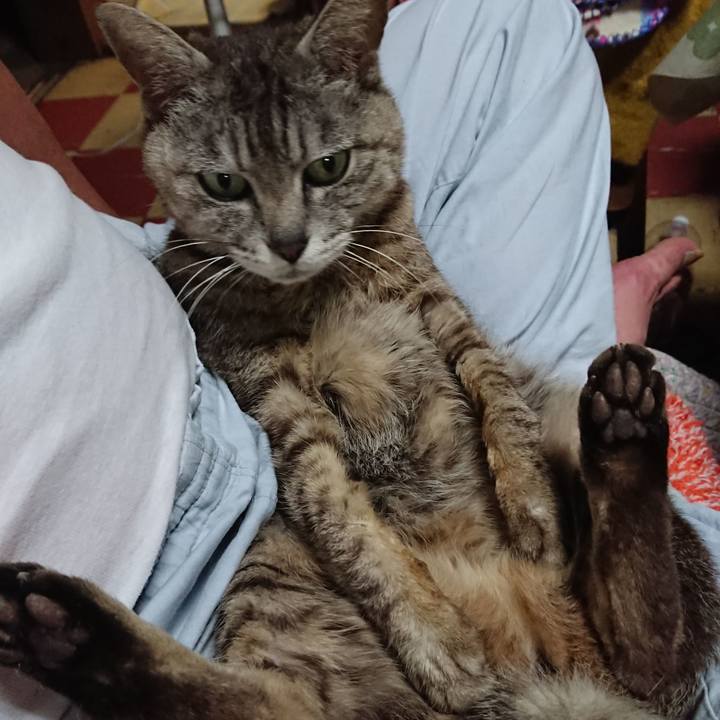 103732bb dfb4 4c36 9aa0 287c20e7a536 1562076122261