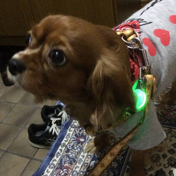 10374a55 169b 49be b184 24f3e558aae7 1517610661961