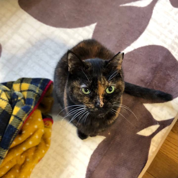 1037638f c26a 4ade 8a60 9ce1abf6d56c 1610243573033