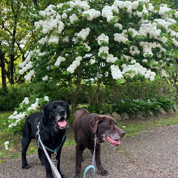 10378112 7dd9 43ec 8ef3 a0f8475a6cf7 1777288490998