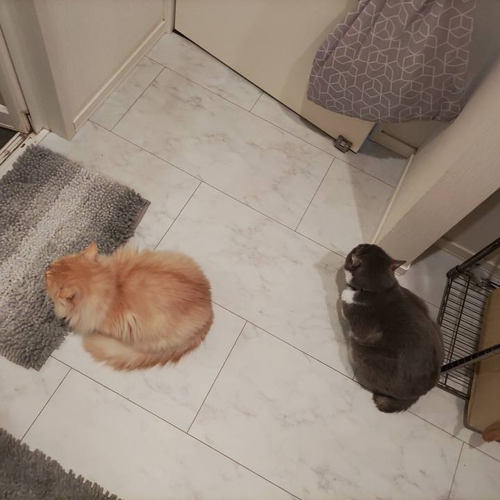 10379fe0 c75c 4e03 b7e9 dcf8663e636a 1708934689587