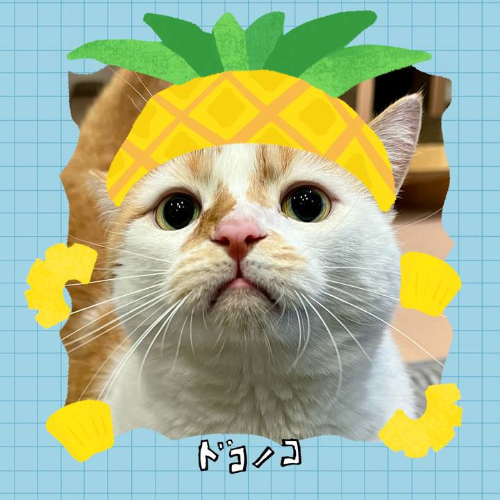 1037a12c 3389 4858 a6ad 4a6fbca178a4 1783347732643