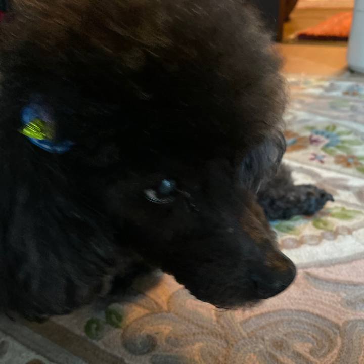 1037aa67 7d2c 4d00 820e b2b9b807d4f7 1590965258241