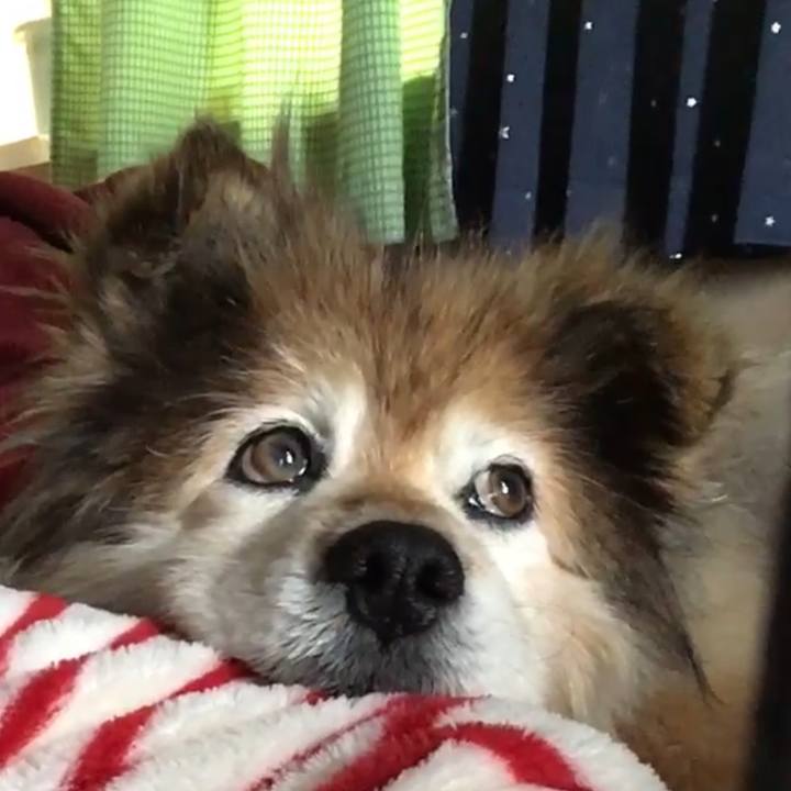 1037b2bd 23a2 4971 b07d 5182f85a83fc 1659907546513