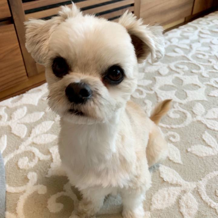 10380acb fc54 4c3a 8b96 2608c810e002 1552483937710