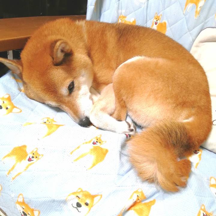 10380d9e 6167 4a66 8276 4660c9d6d8ba 1663079161612