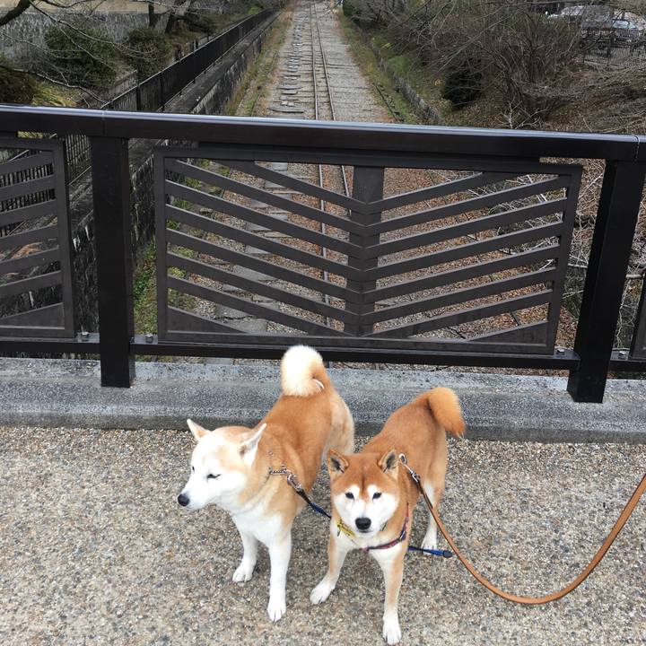 10380ea3 05dd 48d4 9883 dc03bfaffa26 1513494002937