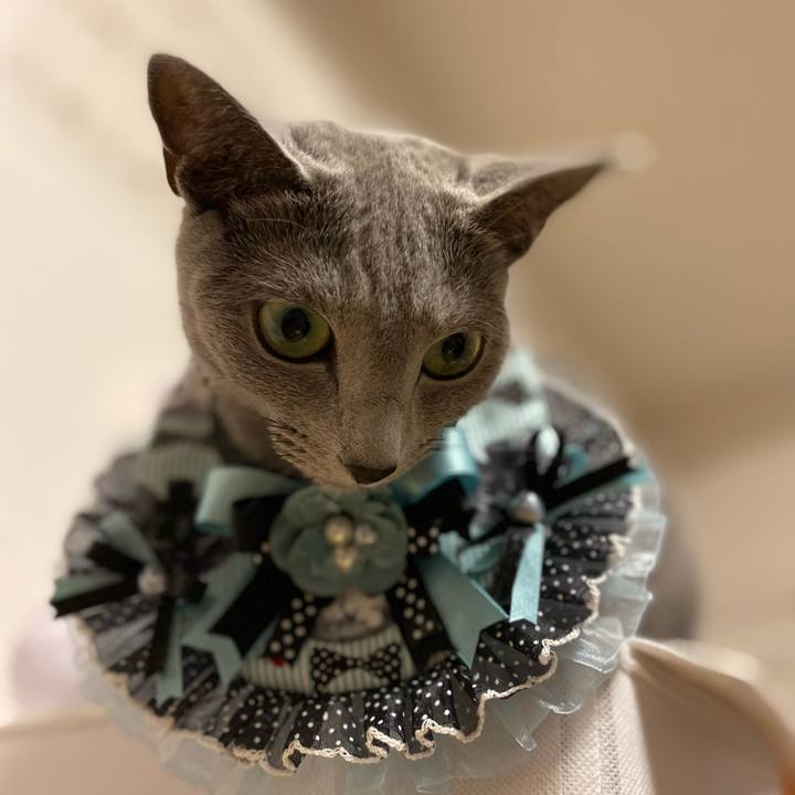 10381dcd 378b 4ee8 9130 1ec3889b4c1e 1665841640270