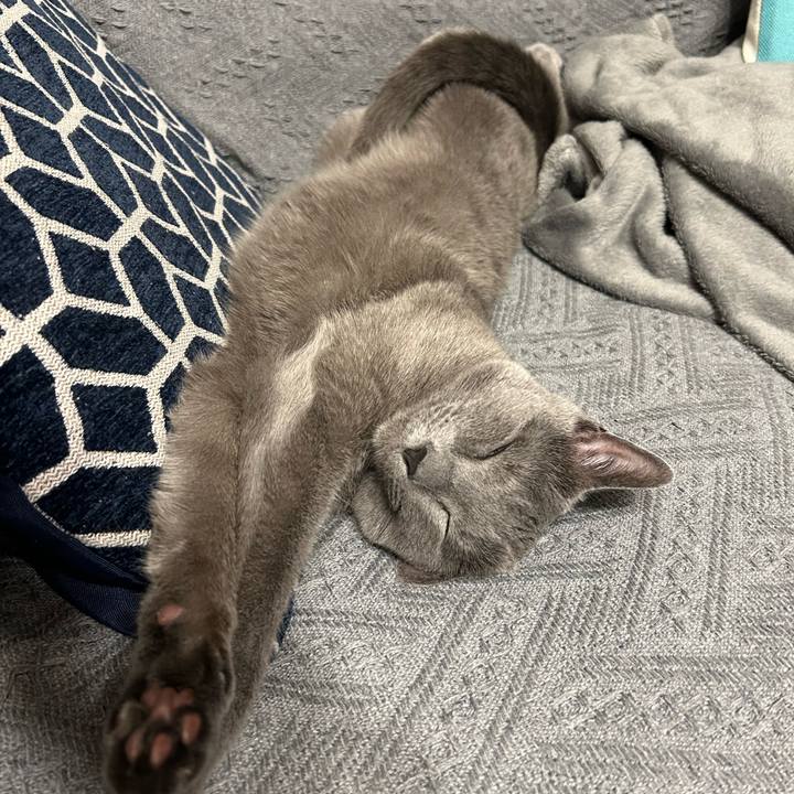 103830fb 3404 45b1 871f b8d00250277f 1714348395396