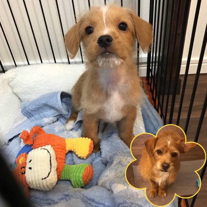 103836c9 23fa 4ffd 81c9 c77cae0b6513 1590883282755