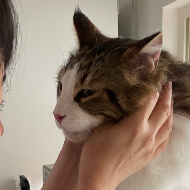 1038450a c11f 4fe0 8e46 e8793e515061 1658435481083