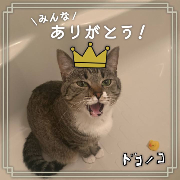 10385ab7 05b9 4598 af99 cfcc76722426 1623068639820