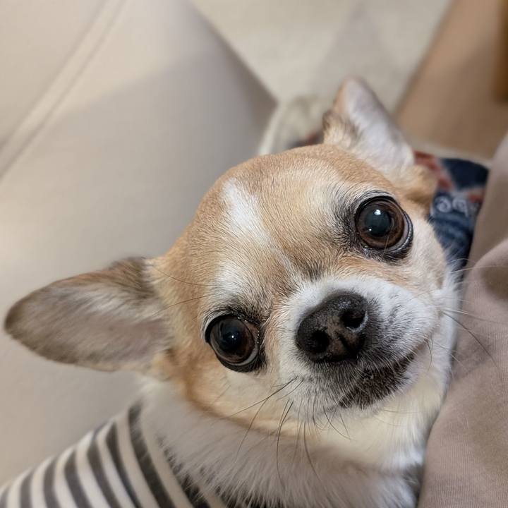 10388ae9 e820 4e7f 806c 38adc708cfc1 1741348305700