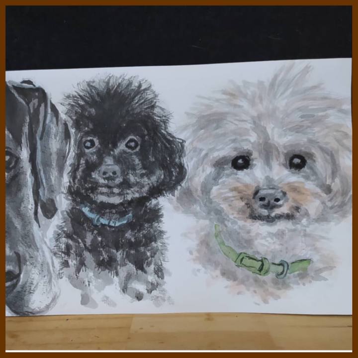 10388da1 c984 4ae5 b20a 4e6ba4b35b8d 1634348619080