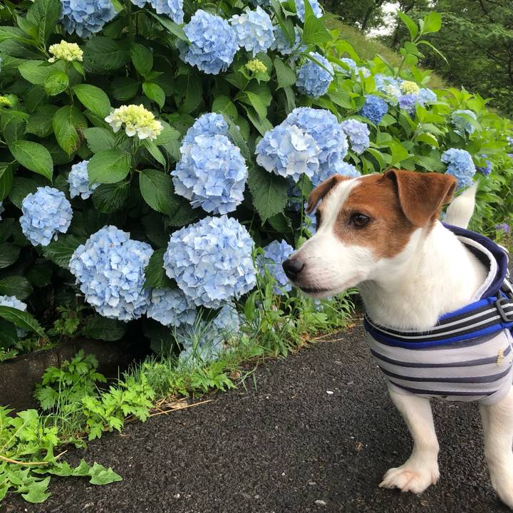 1038a194 4b49 4d6f aa3a dadbdc0cbb95 1719321849705