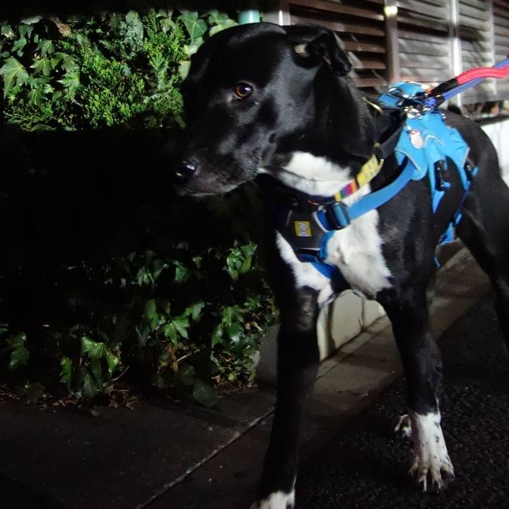 1038b675 b653 43d4 8ed4 b6b825172f36 1615286521853