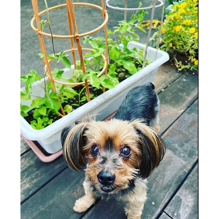 1038b9a1 d47a 490f 82fa 9ec5a9284476 1687593388043