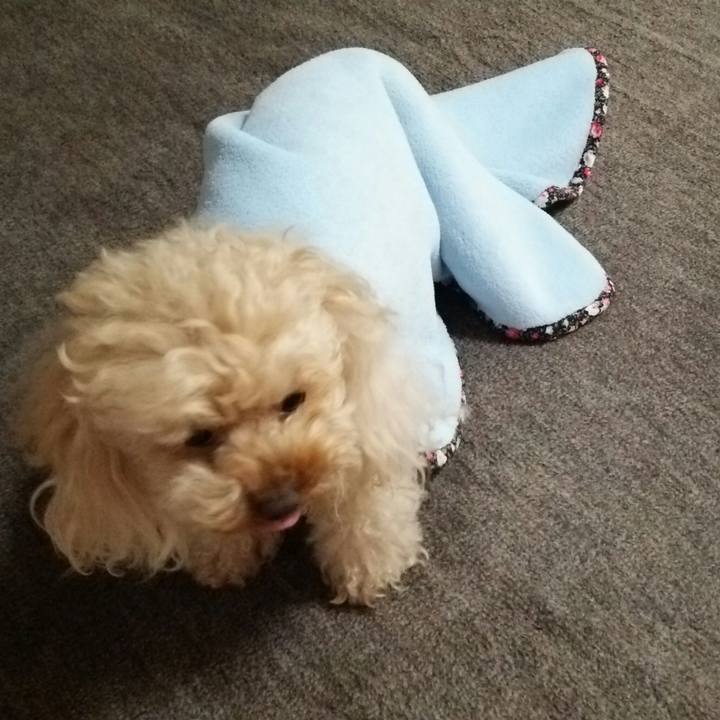 1038eba3 0b05 416c 992b 781bc3a7b0d2 1526470598110