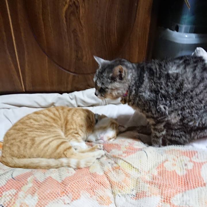 10390685 91df 4832 9908 f786edf9b62f 1588509381045