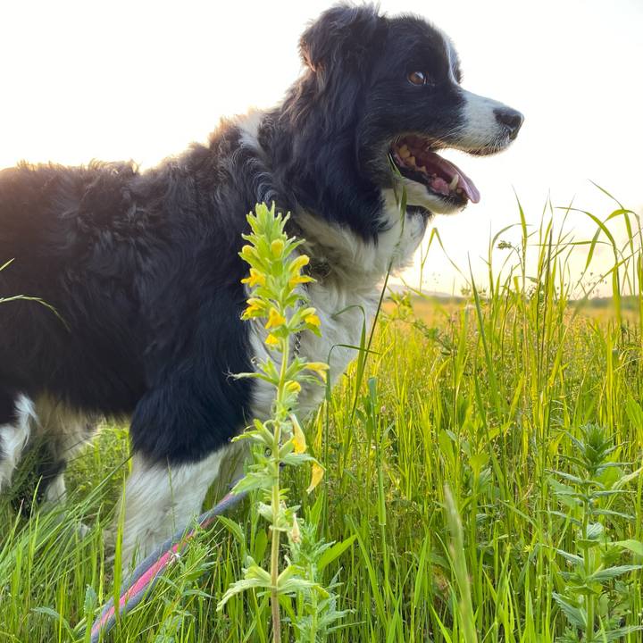 103911e5 67a4 403e a3fd e610f4bd4a37 1619695900705