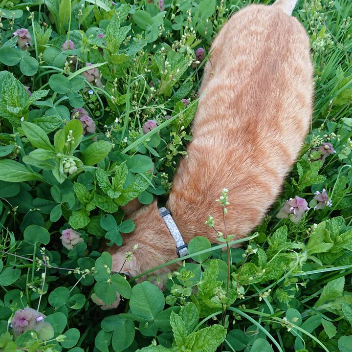 1039248b a341 4095 81f5 de1b65aee887 1588493657022