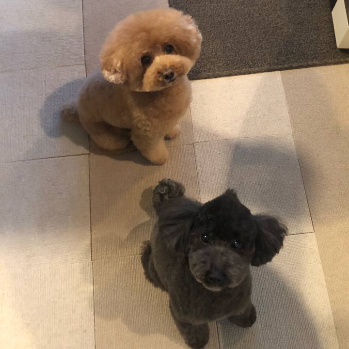 103929f4 ea3f 4f25 9273 be4d24ab3fc6 1611738538919