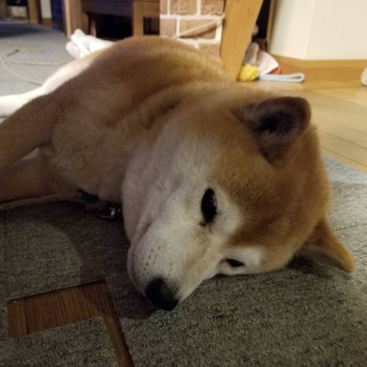 10393157 da0e 4061 93b7 7ead9729efb4 1620121566891