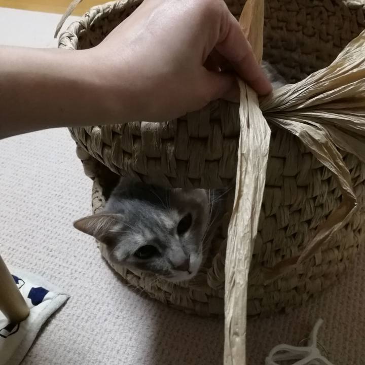 103966f2 c60a 4379 adb1 1249e3e78708 1524705568348