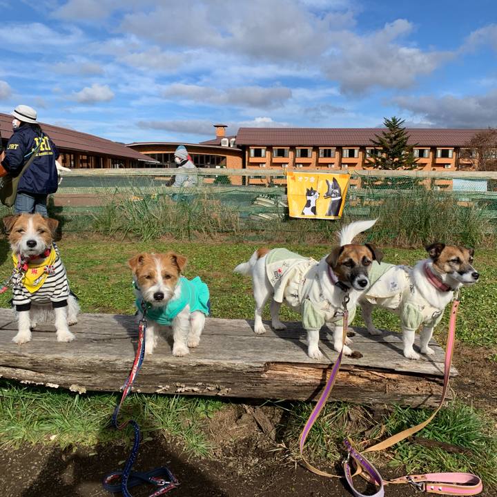 10397eeb e41a 4180 aa7a 1a369e1a058a 1636359490718