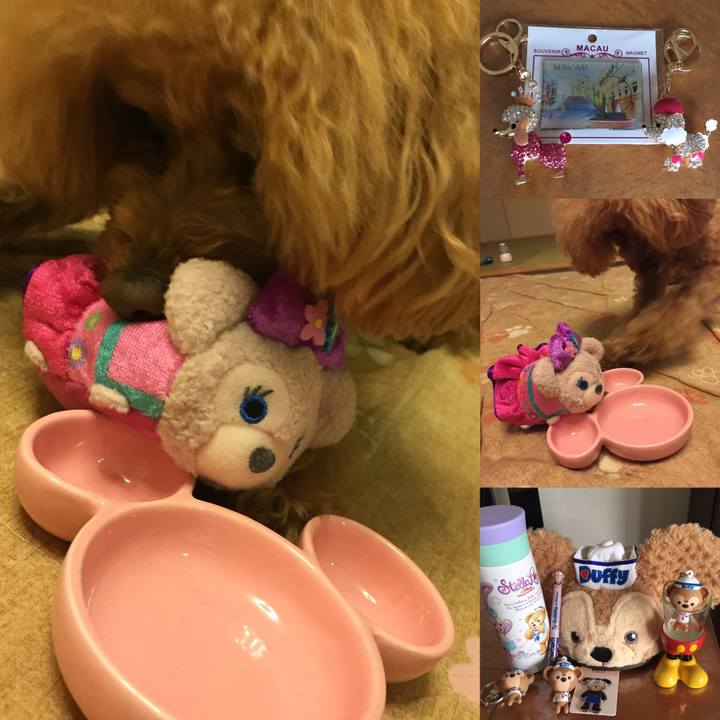 10399651 ca65 47a1 bcf5 c88b89853a5e 1521455885841