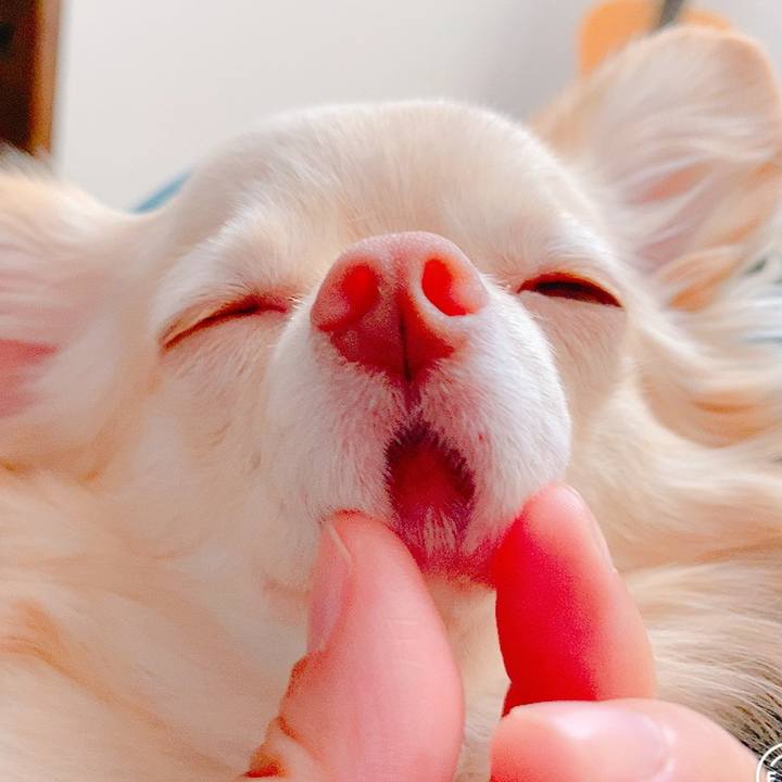 10399ad0 95ce 4ac1 a9ea accfffc777bf 1634566141753