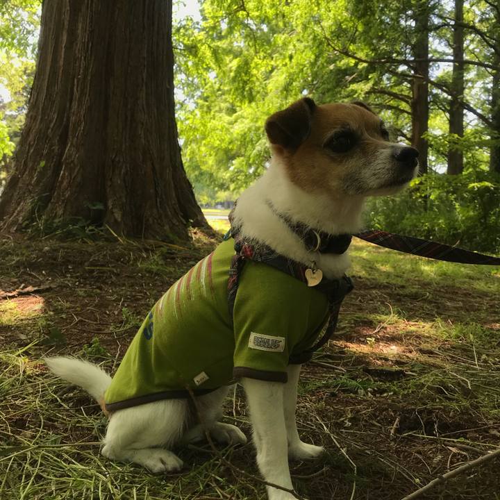 103a0656 6924 424c 8a0d f92b5baf720a 1525404919816