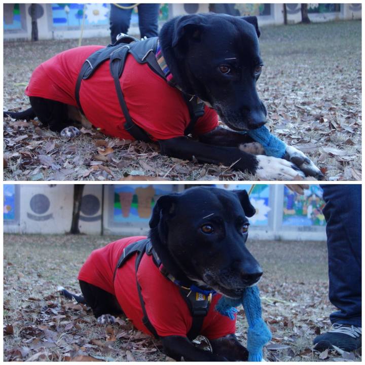 103a128b 0039 4f52 a5ef fac6f6e16eb8 1640479755574