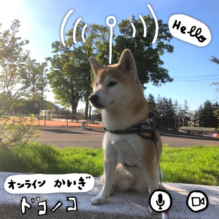 103a3ecd db1a 4d5e a597 a5f566db284f 1590926217129