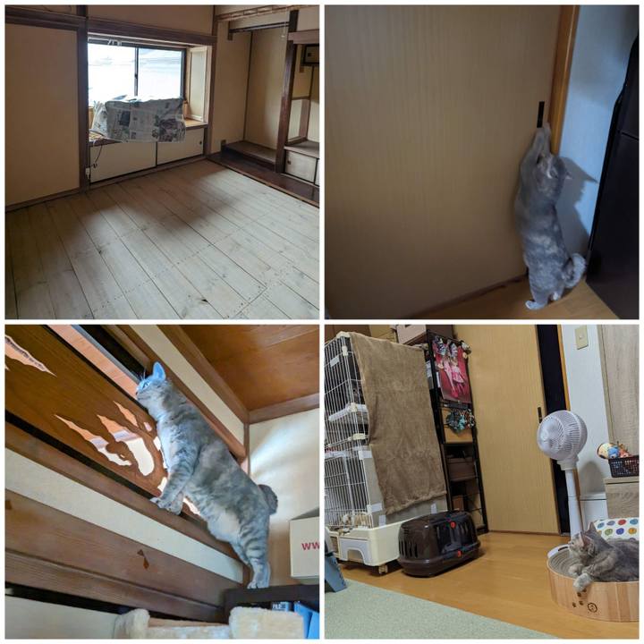 103a89fa cccb 493a b2a3 6a36f138c0f8 1699934033322