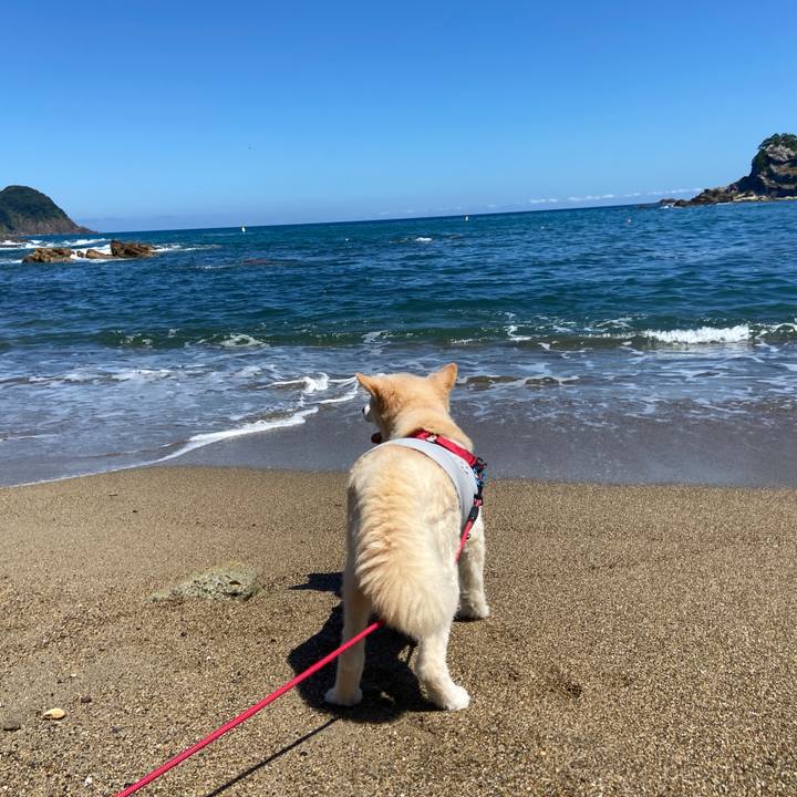 103ab7dd 1c5d 4239 9798 720c1752cc3a 1692584858774