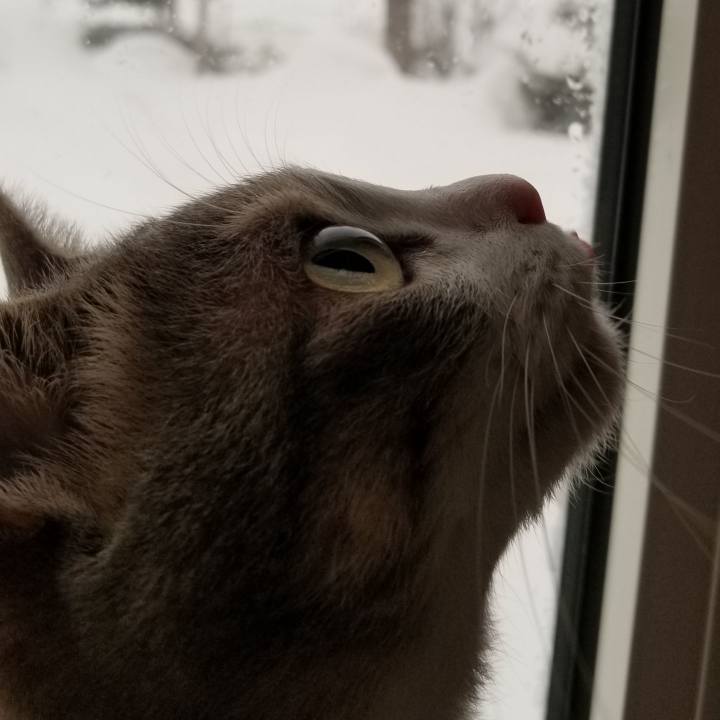 103ab802 55c9 45e1 a8e9 80ed34f82b7f 1548286354755