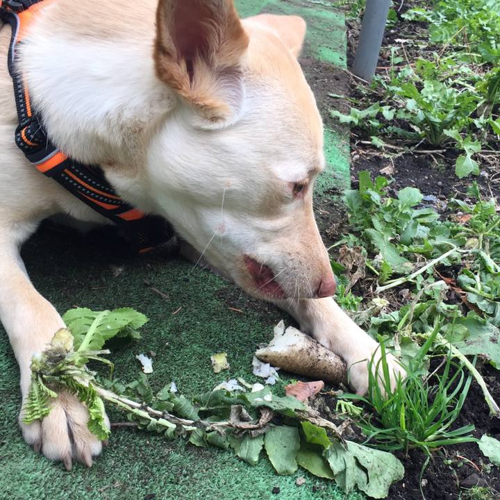 103ac4c7 abaf 4fad b4b1 12814fb550f2 1516356792208