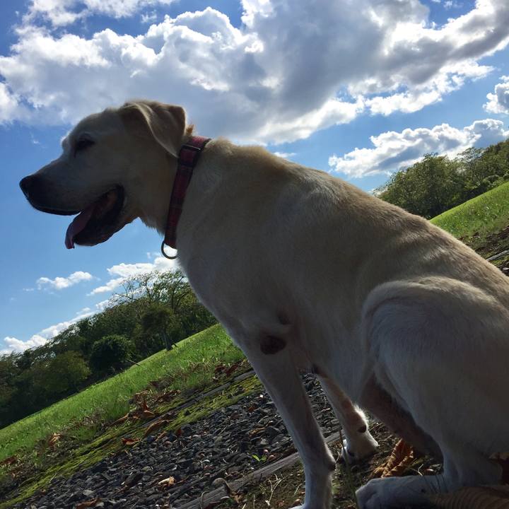 103ac85a b69e 4499 8e02 b27a4c70c642 1508218299464