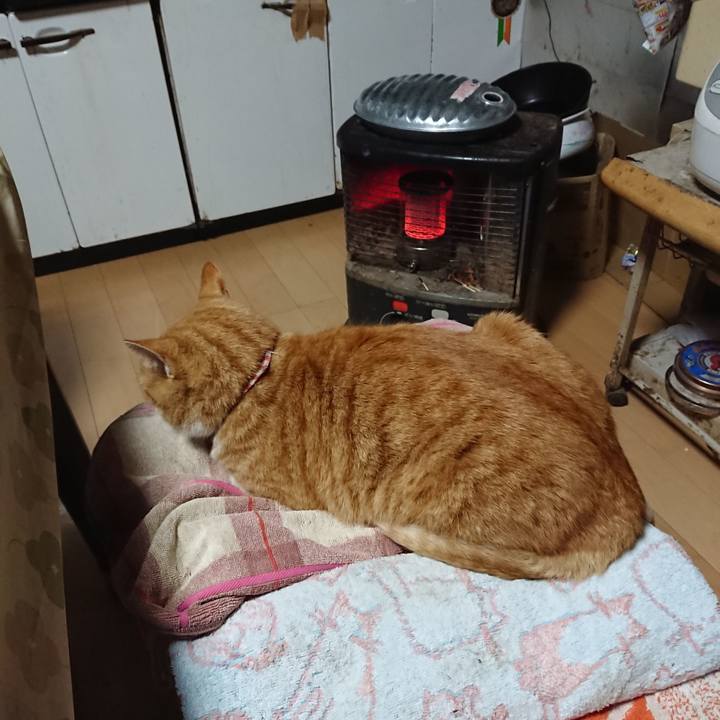 103b1c25 39bb 4a96 932d 764b654cbd30 1606161124152