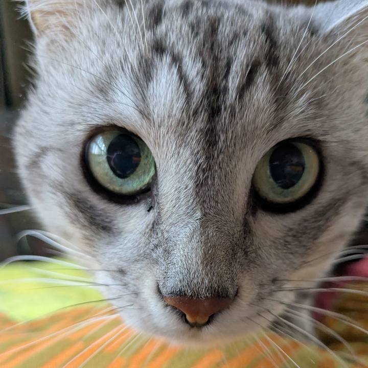 103b2526 02f4 46de 8725 121ff868e4c0 1759902471578