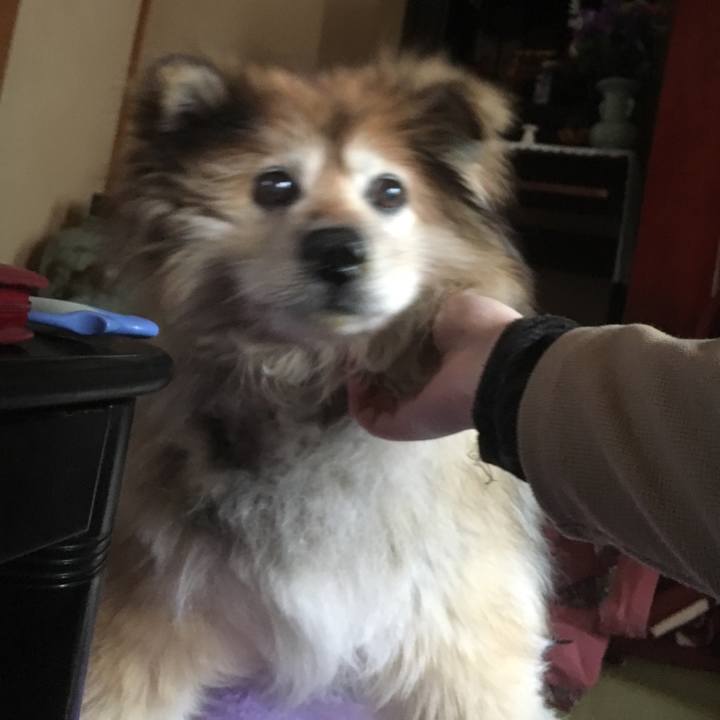 103b26b8 dffe 4bf2 b7e9 272e1d411062 1553553190674