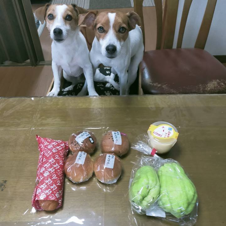 103baa3e 935a 4027 847b 30045e667ed0 1763017107387